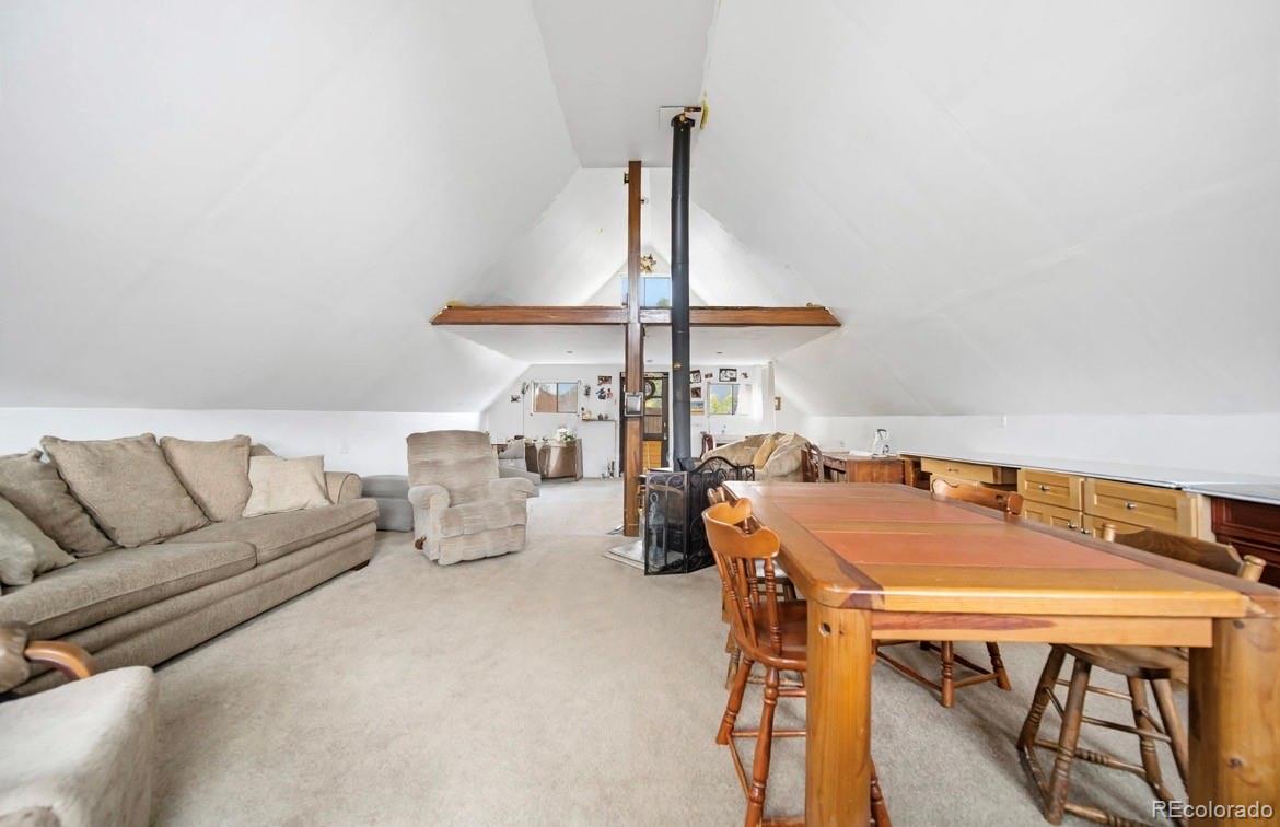 229 McDougal Road Bailey, CO 80421 - Photo 16 of 29 Gallery Image 16