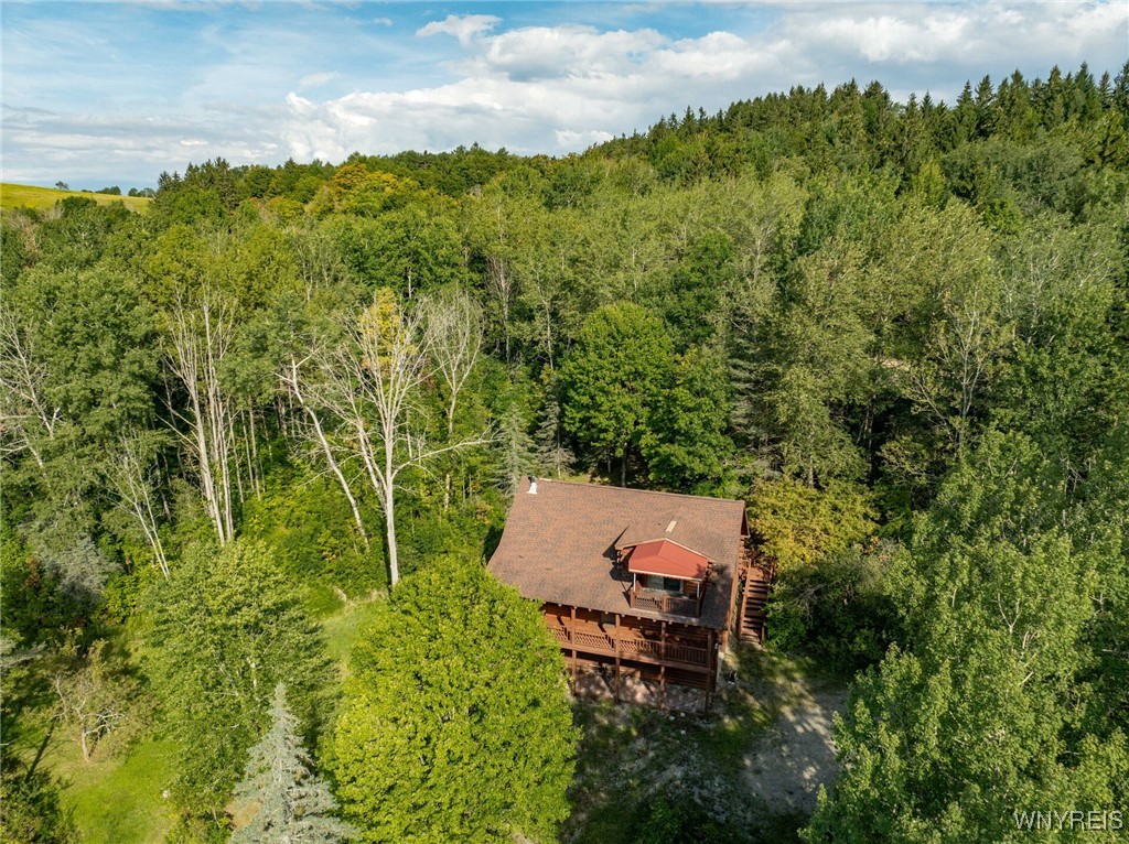 4451 Block Road Delevan, NY 14042 - Photo 30 of 47