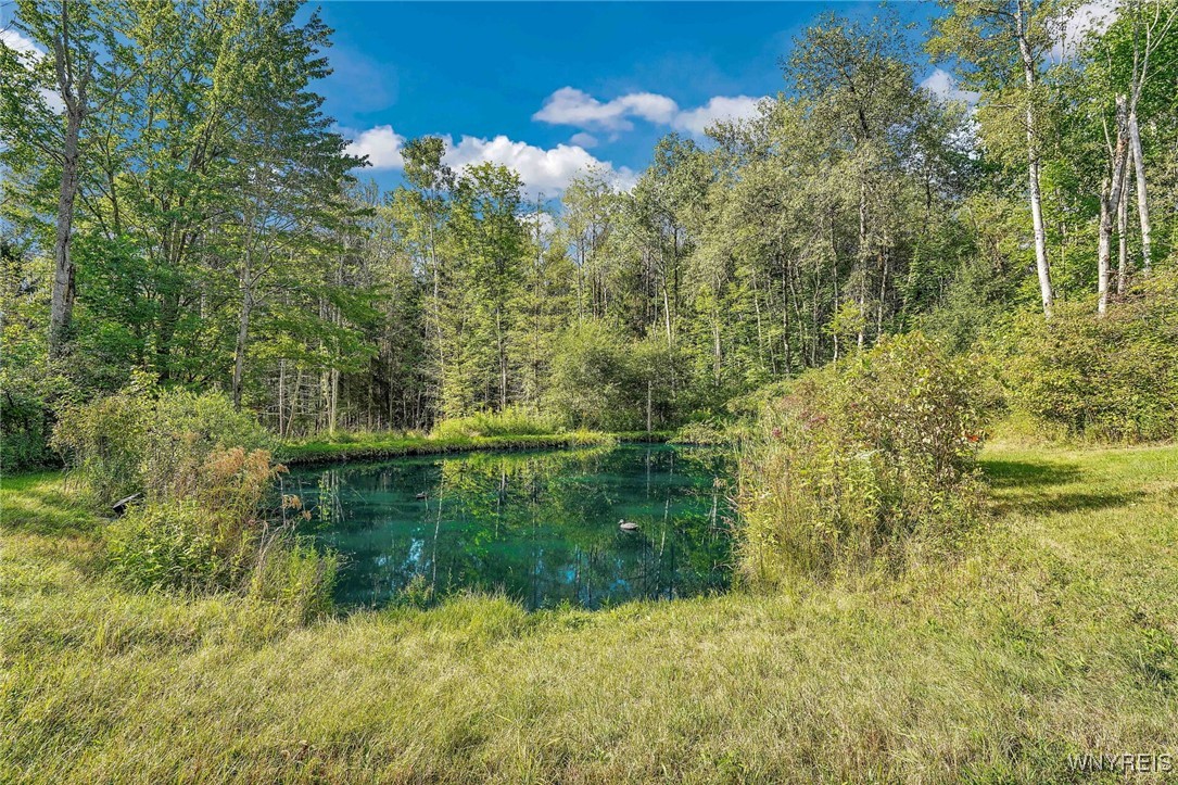 4451 Block Road Delevan, NY 14042 - Photo 3 of 47