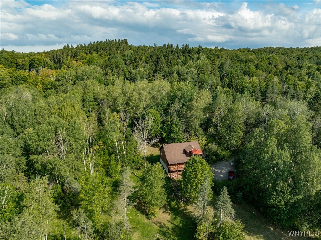 4451 Block Road Delevan, NY 14042 - Photo 31 of 47