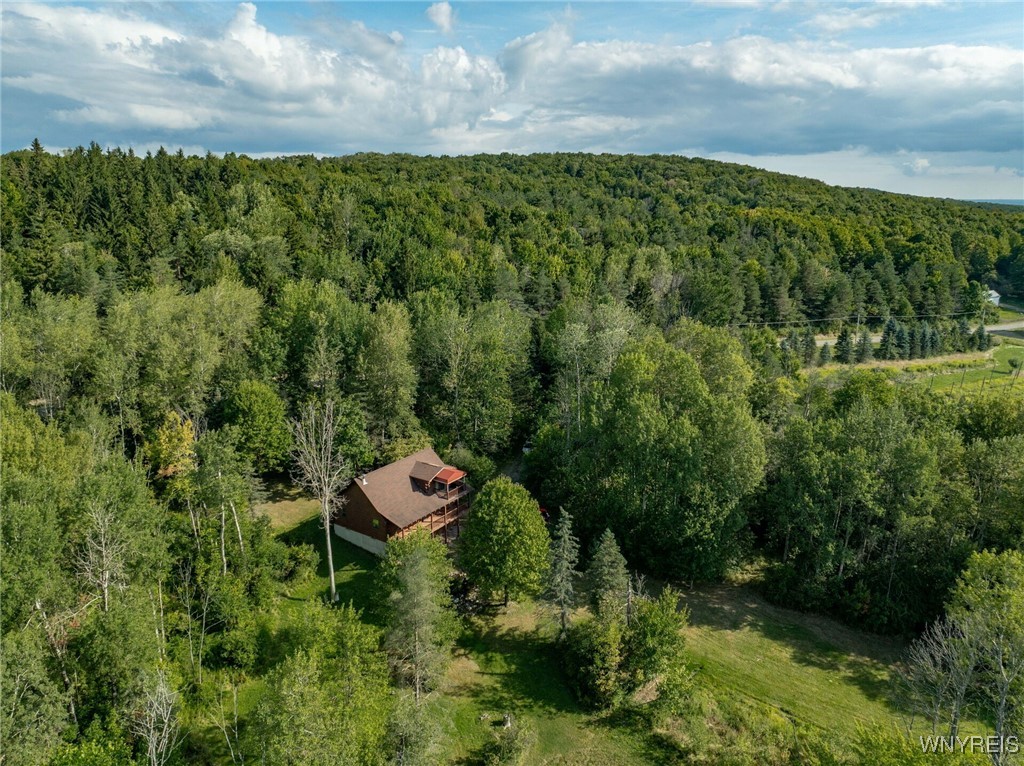 4451 Block Road Delevan, NY 14042 - Photo 33 of 47