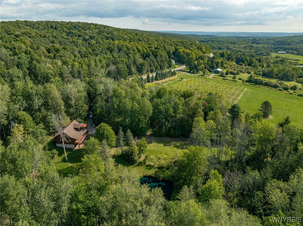 4451 Block Road Delevan, NY 14042 - Photo 34 of 47