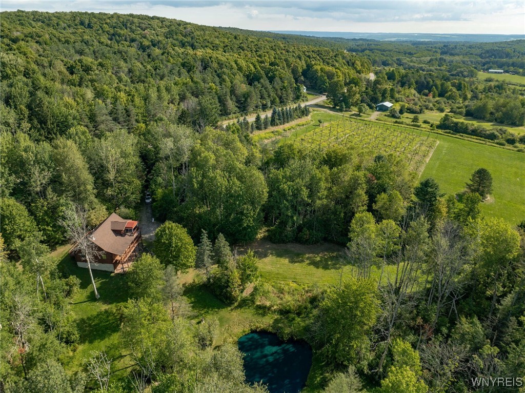 4451 Block Road Delevan, NY 14042 - Photo 35 of 47