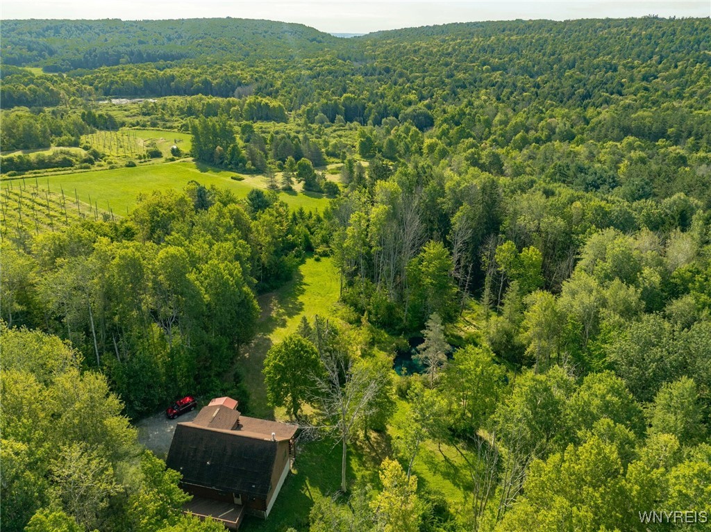 4451 Block Road Delevan, NY 14042 - Photo 36 of 47