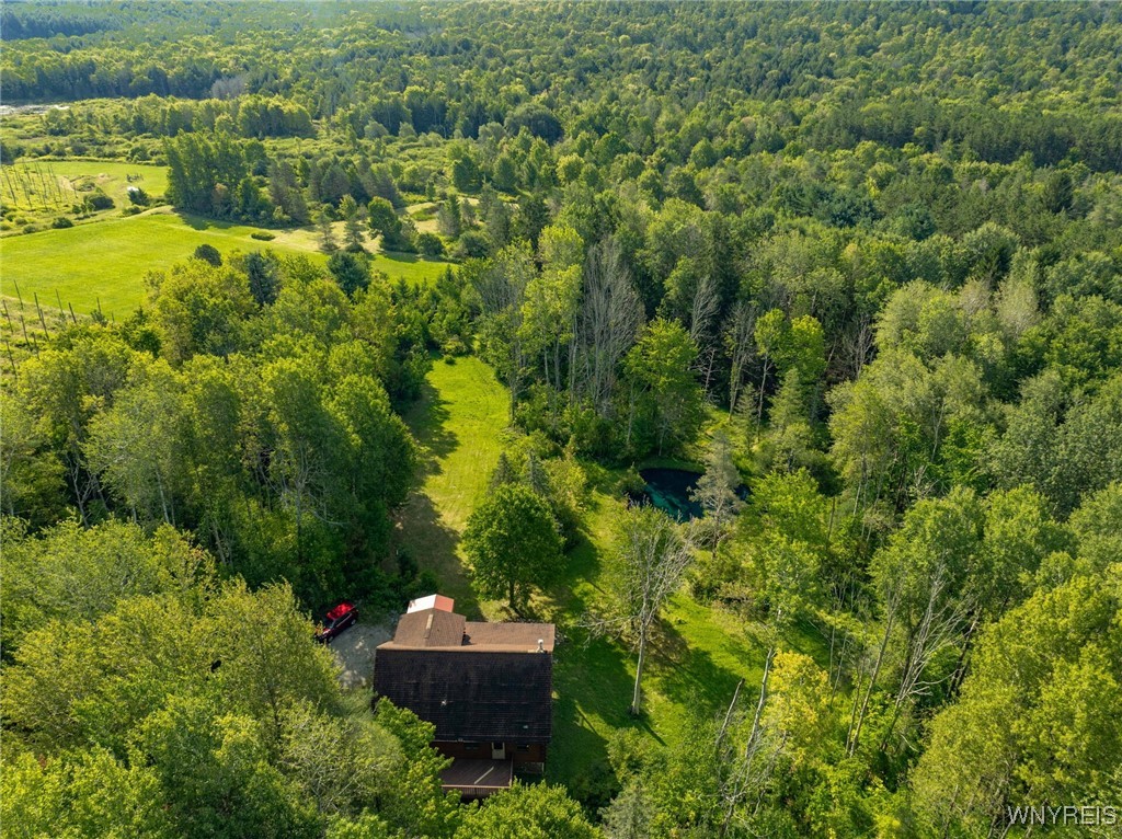 4451 Block Road Delevan, NY 14042 - Photo 37 of 47