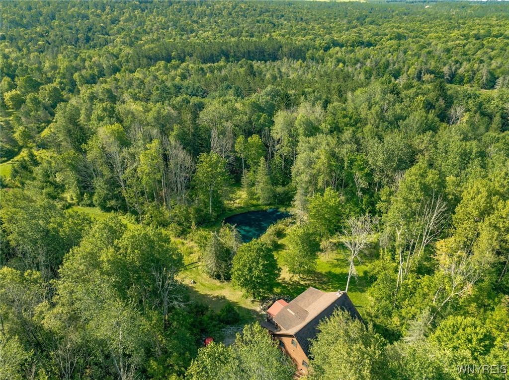 4451 Block Road Delevan, NY 14042 - Photo 38 of 47