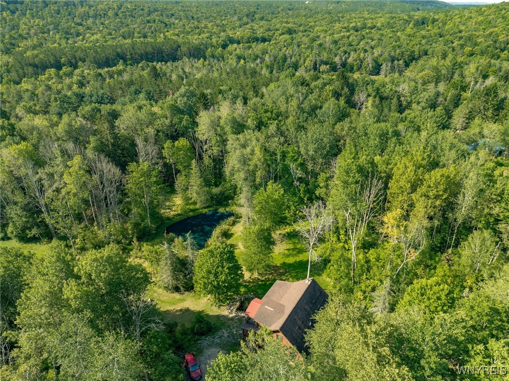 4451 Block Road Delevan, NY 14042 - Photo 39 of 47