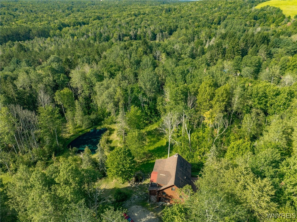 4451 Block Road Delevan, NY 14042 - Photo 40 of 47