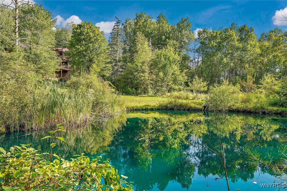 4451 Block Road Delevan, NY 14042 - Photo 4 of 47