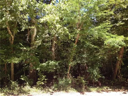 $95,000 | 0 Hwy 1063 Tickfaw La, Independence, LA 70443