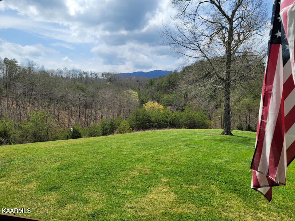 2520 Audley Moore Road Sevierville, TN 37876 - Photo 3 of 59 Gallery Image 3