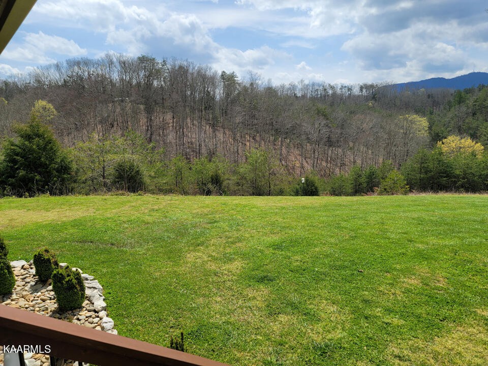 2520 Audley Moore Road Sevierville, TN 37876 - Photo 4 of 59 Gallery Image 4