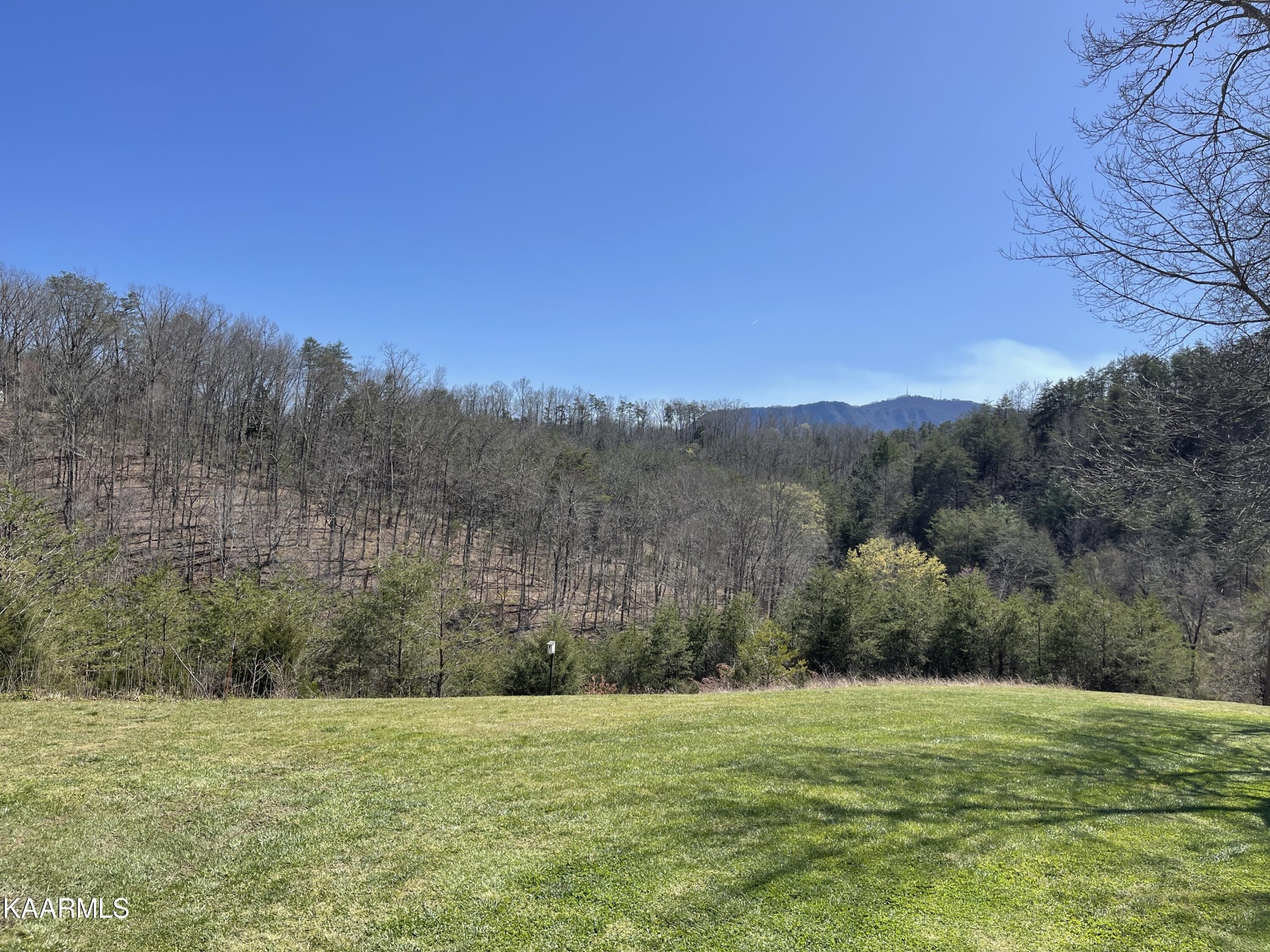 2520 Audley Moore Road Sevierville, TN 37876 - Photo 51 of 59 Gallery Image 51