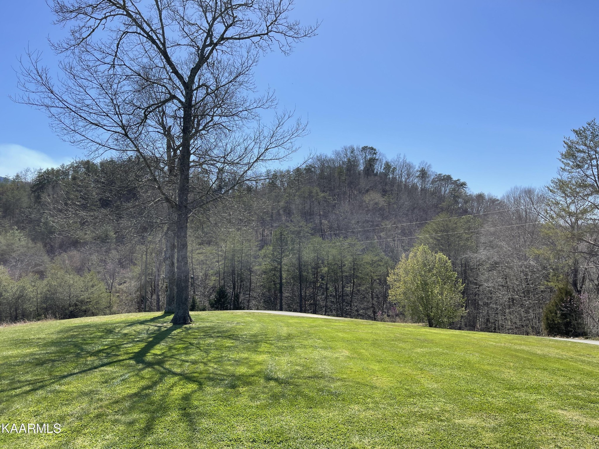 2520 Audley Moore Road Sevierville, TN 37876 - Photo 52 of 59 Gallery Image 52