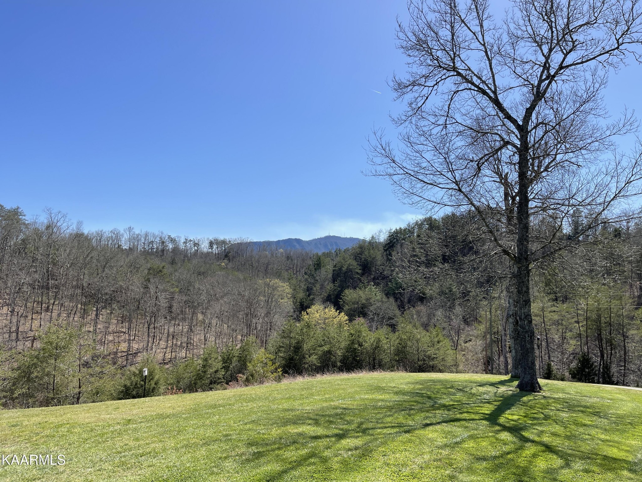 2520 Audley Moore Road Sevierville, TN 37876 - Photo 53 of 59 Gallery Image 53