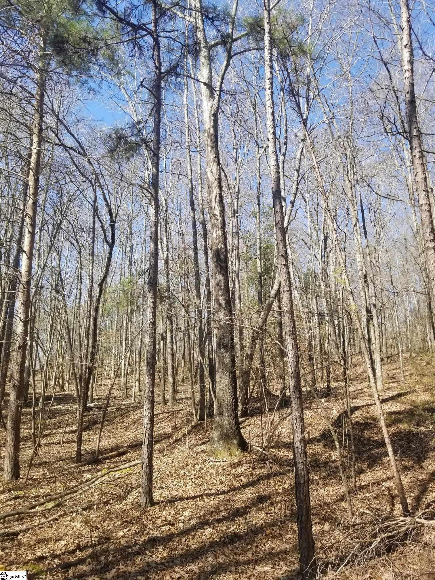 4220 Fork Shoals Road Simpsonville, SC 29680 - Photo 2 of 5