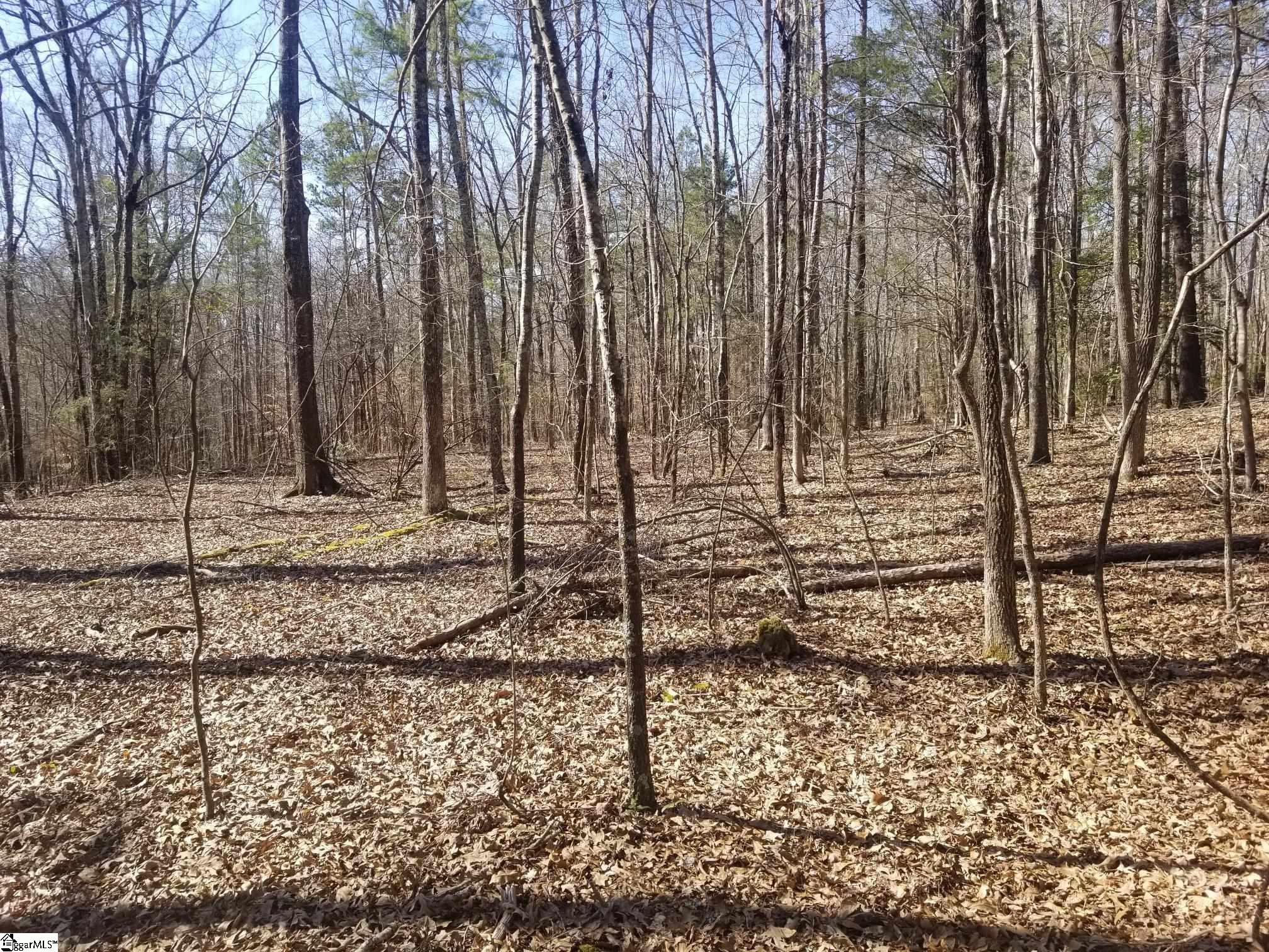 4220 Fork Shoals Road Simpsonville, SC 29680 - Photo 3 of 5