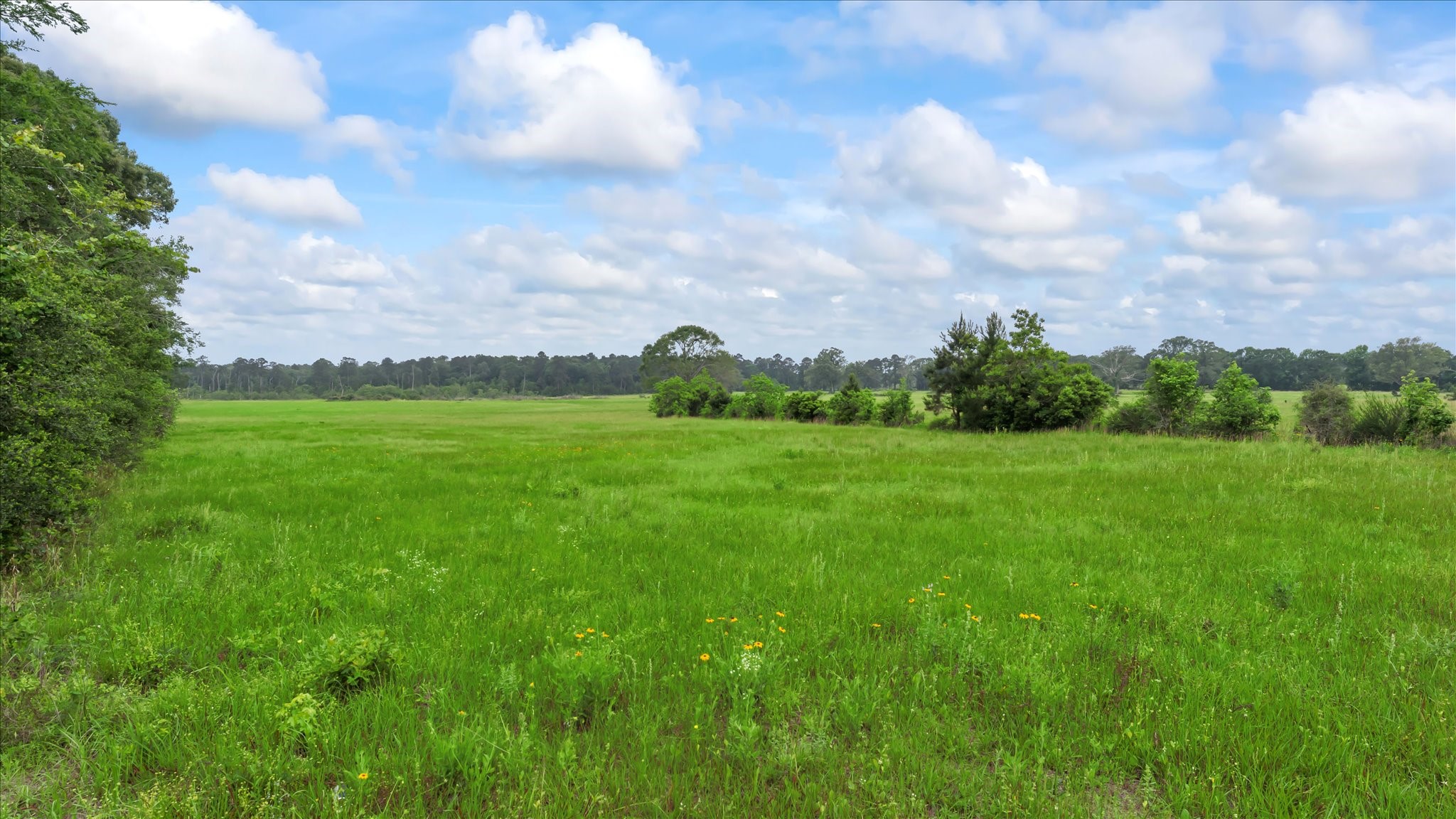 2760 Stringtown Road Shepherd, TX 77371 - Photo 27 of 46