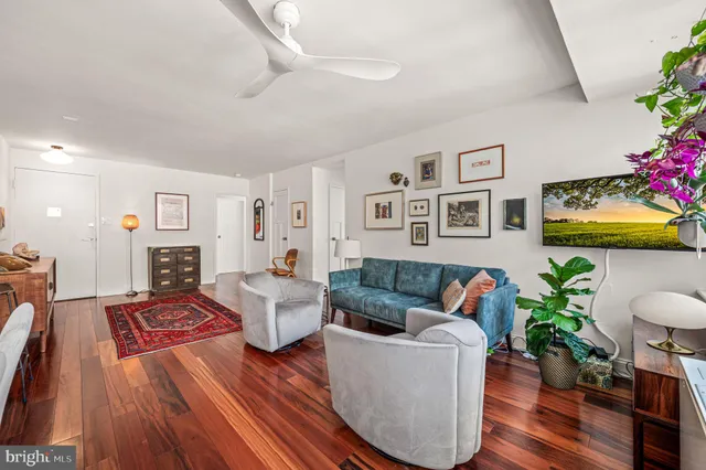 a living room with furniture and a potted plant