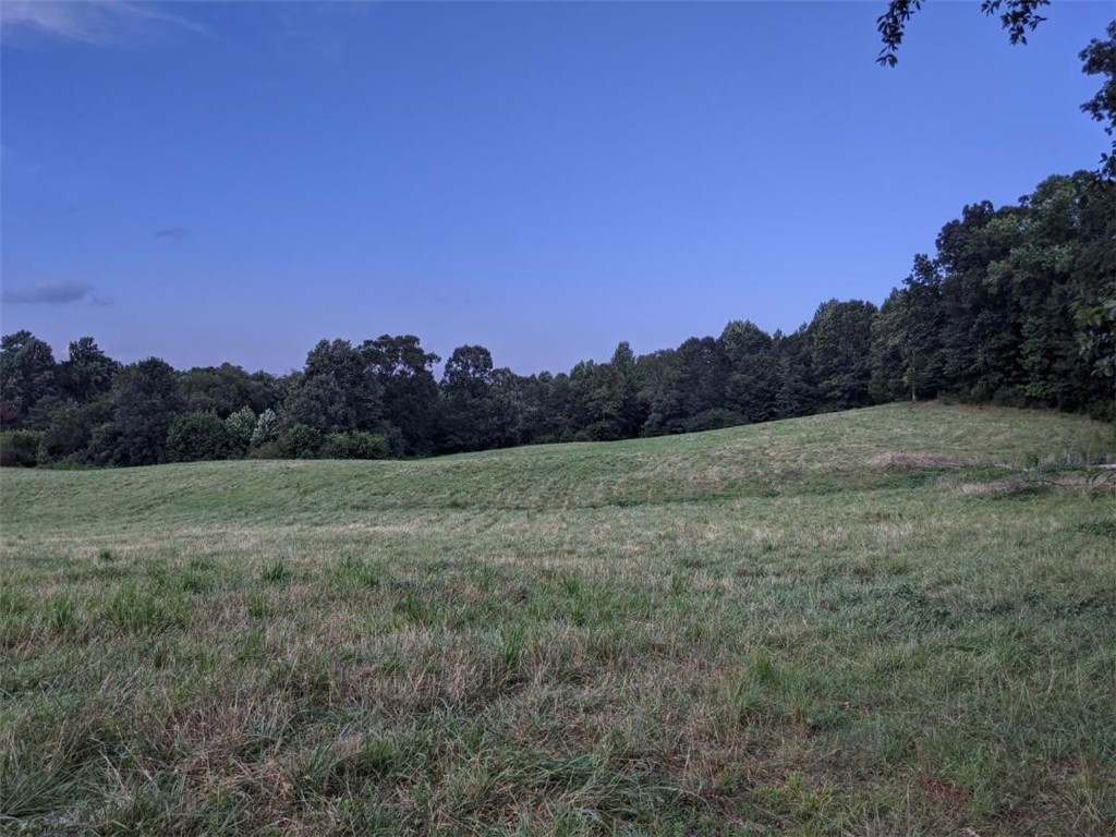 Tbd Hook Road Due West, SC 29639 - Photo 11 of 14