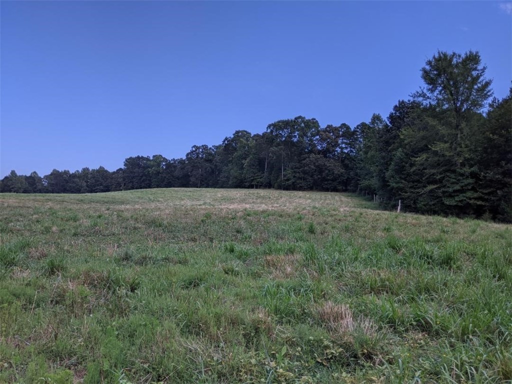 Tbd Hook Road Due West, SC 29639 - Photo 12 of 14