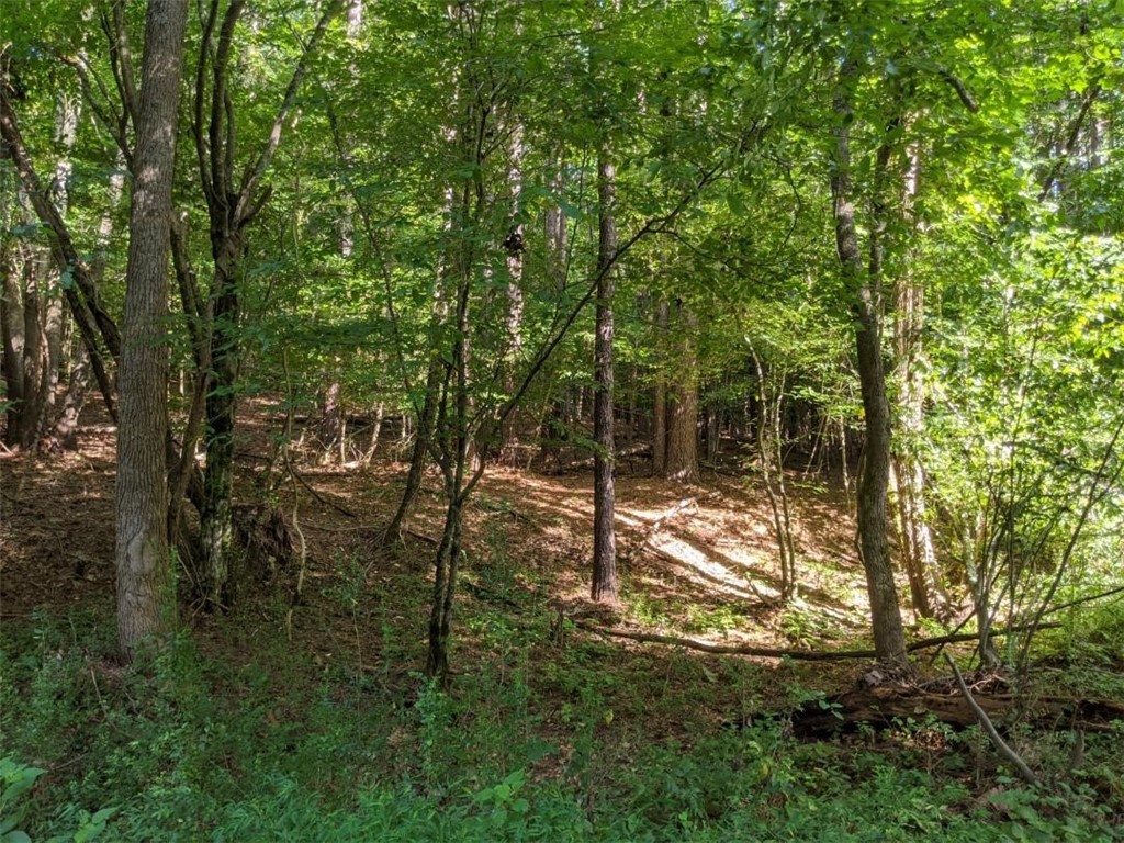 Tbd Hook Road Due West, SC 29639 - Photo 13 of 14