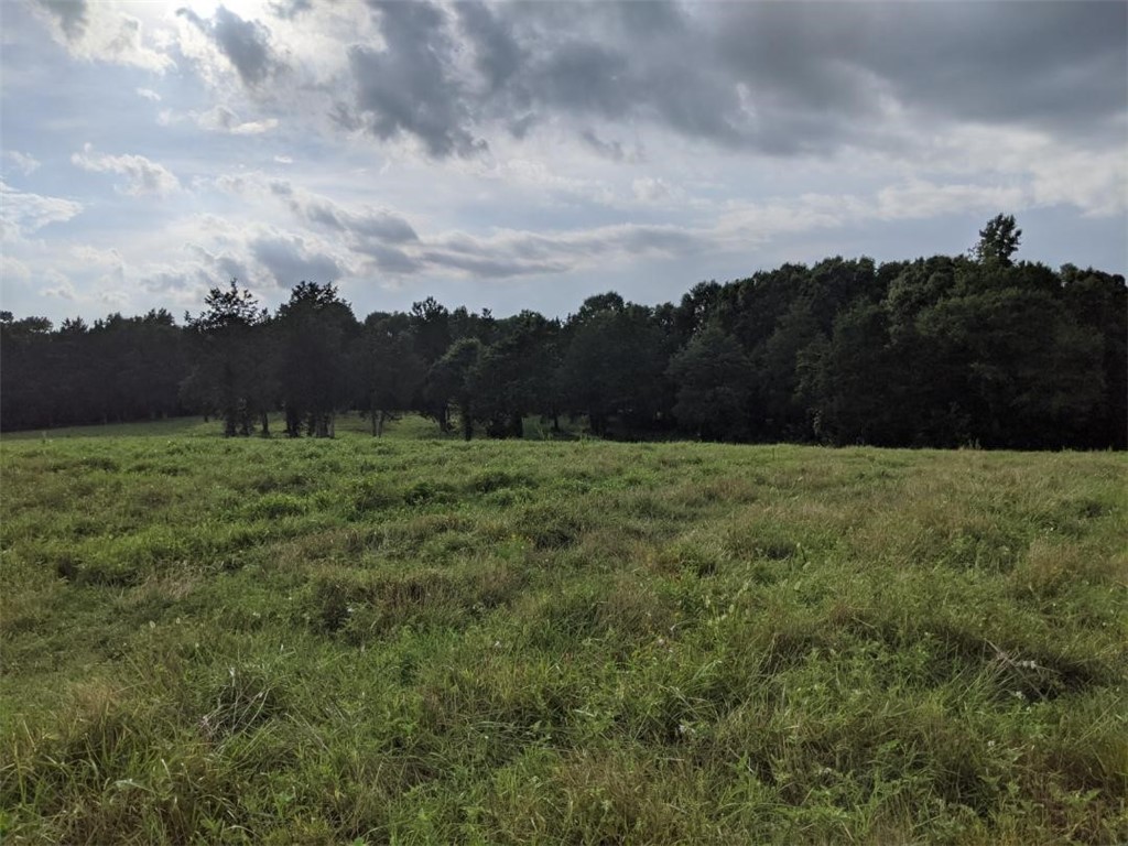 Tbd Hook Road Due West, SC 29639 - Photo 2 of 14