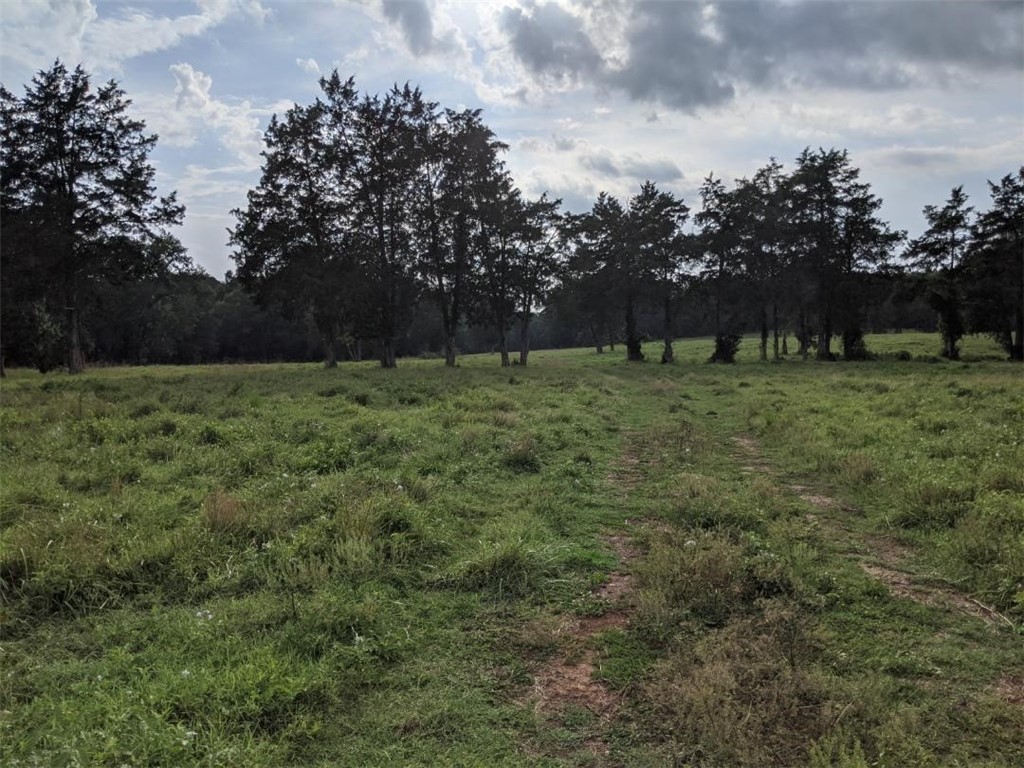 Tbd Hook Road Due West, SC 29639 - Photo 3 of 14