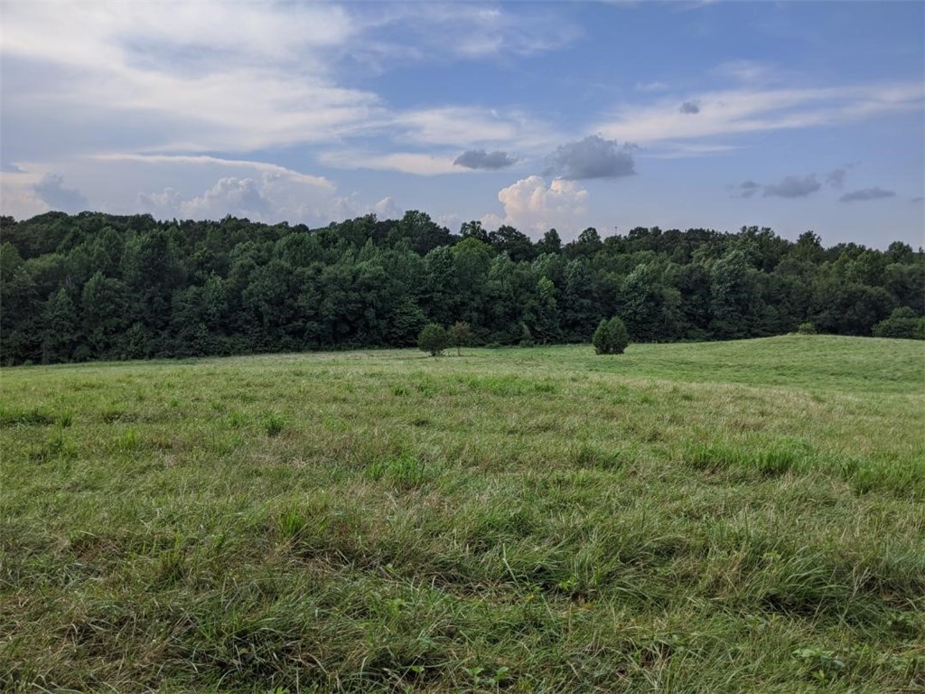 Tbd Hook Road Due West, SC 29639 - Photo 4 of 14