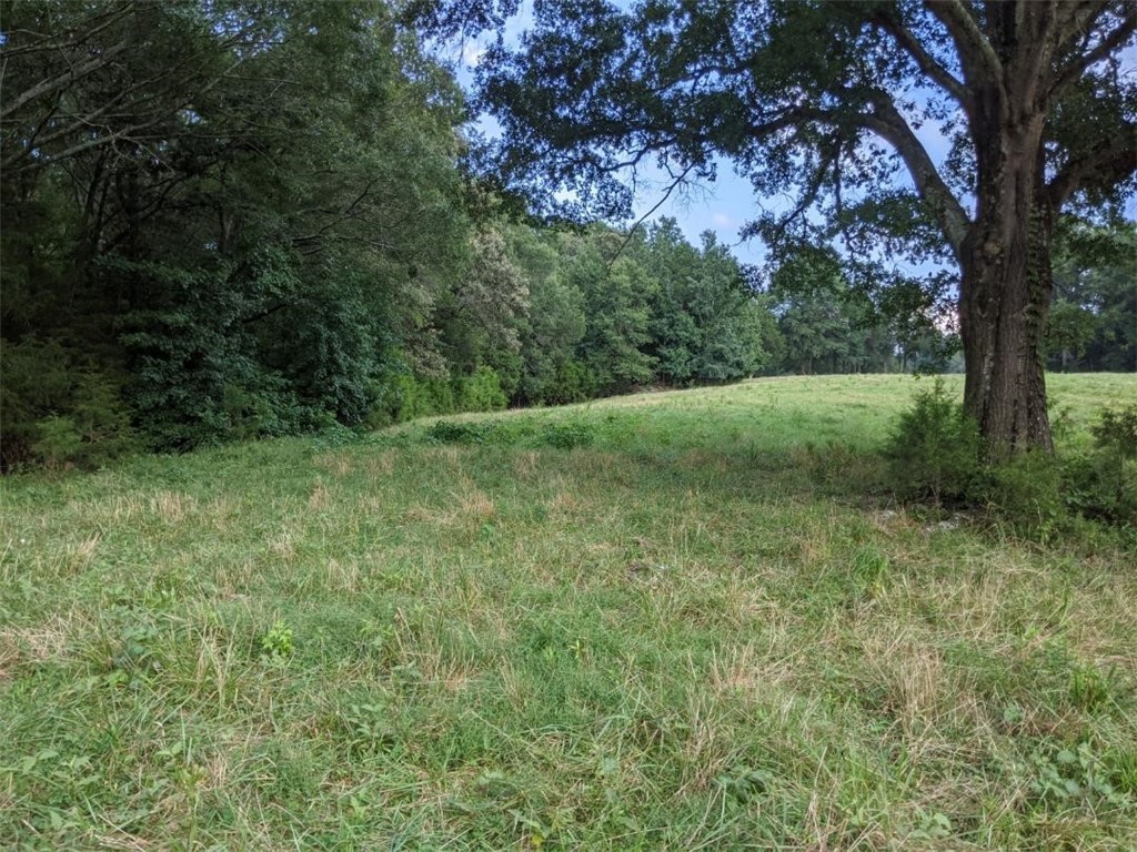 Tbd Hook Road Due West, SC 29639 - Photo 5 of 14