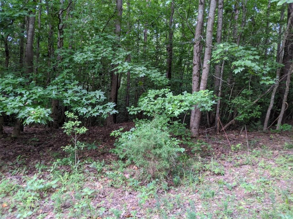 Tbd Hook Road Due West, SC 29639 - Photo 10 of 14