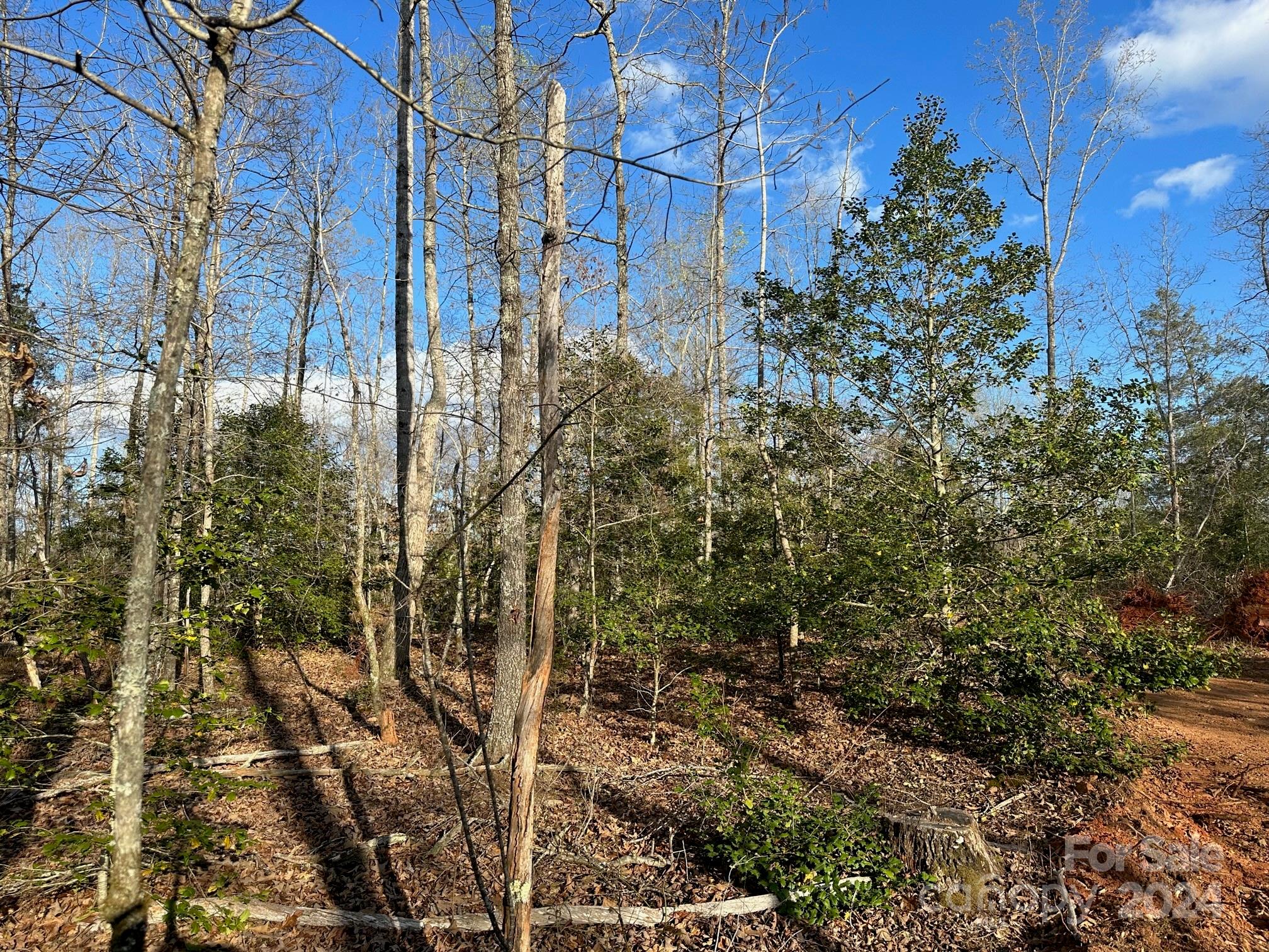 0 Andrews Mill Road Bostic, NC 28018 - Photo 13 of 18 Gallery Image 13