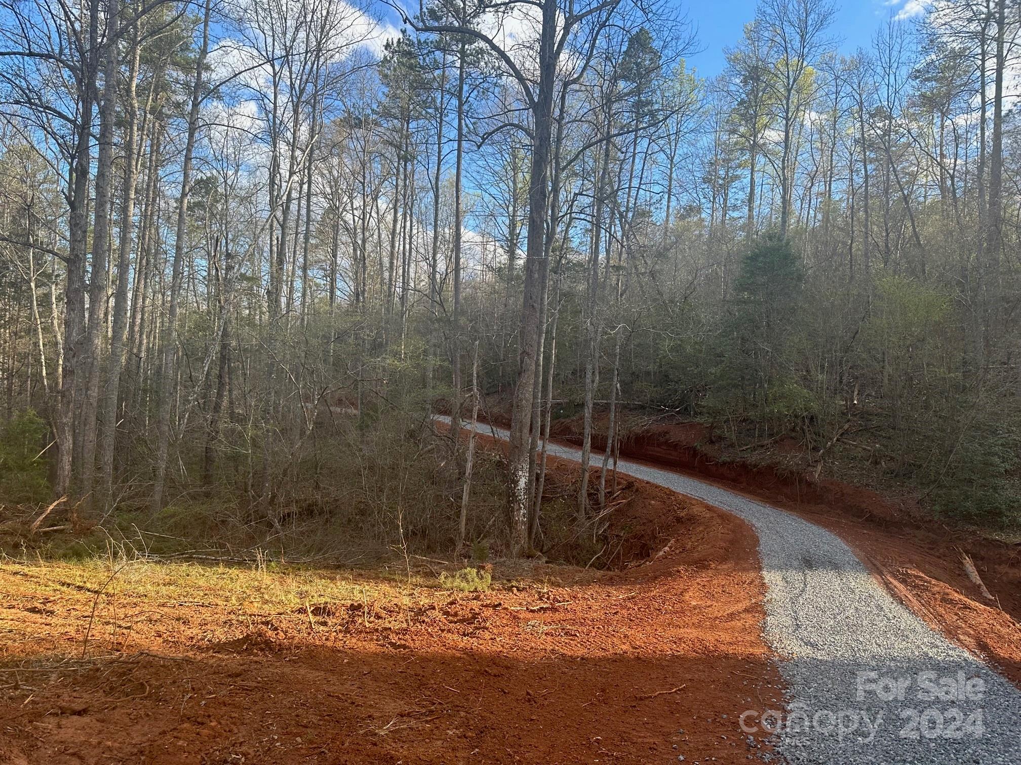 0 Andrews Mill Road Bostic, NC 28018 - Photo 3 of 18 Gallery Image 3