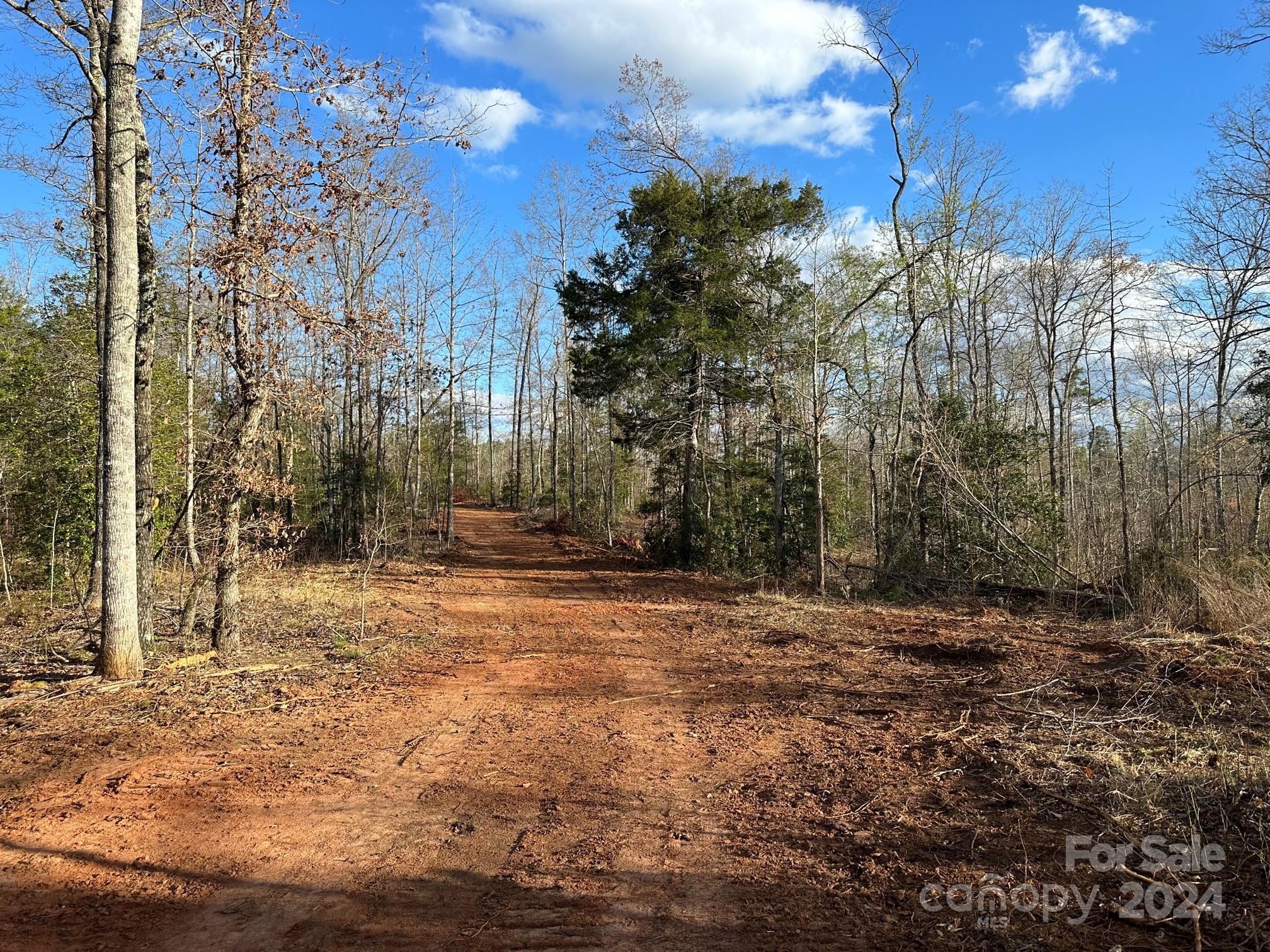 0 Andrews Mill Road Bostic, NC 28018 - Photo 5 of 18 Gallery Image 5