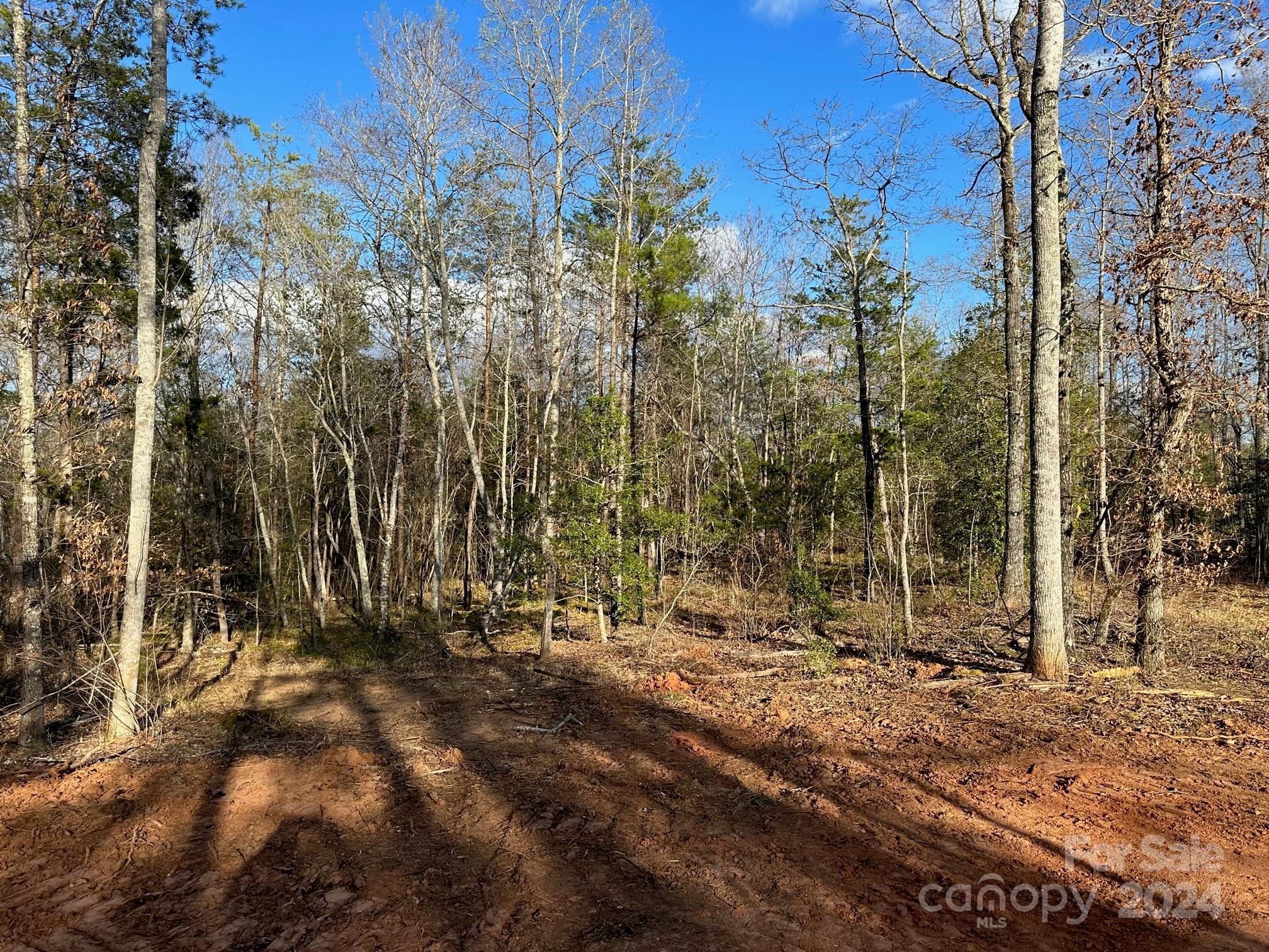 0 Andrews Mill Road Bostic, NC 28018 - Photo 8 of 18 Gallery Image 8