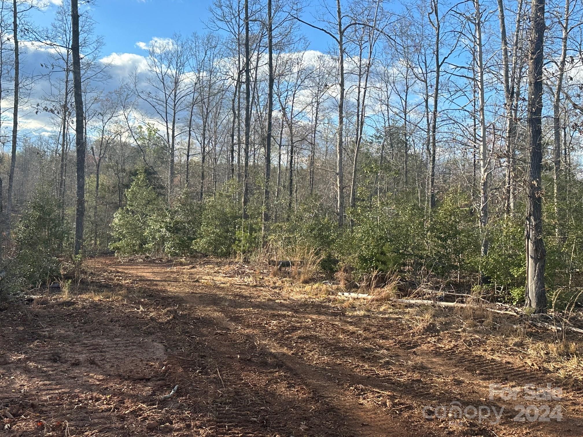 0 Andrews Mill Road Bostic, NC 28018 - Photo 10 of 18 Gallery Image 10