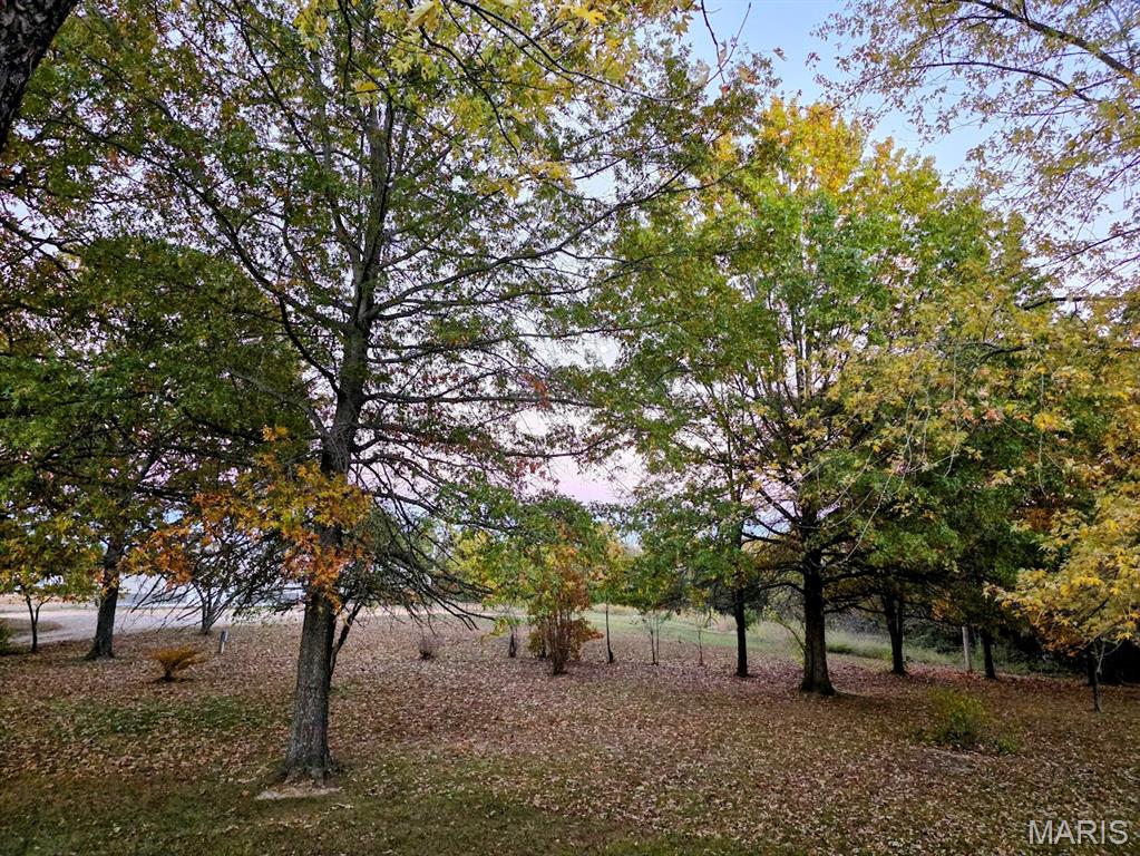2066 State Rd Jj Stoutland, MO 65567 - Photo 12 of 41 Gallery Image 12