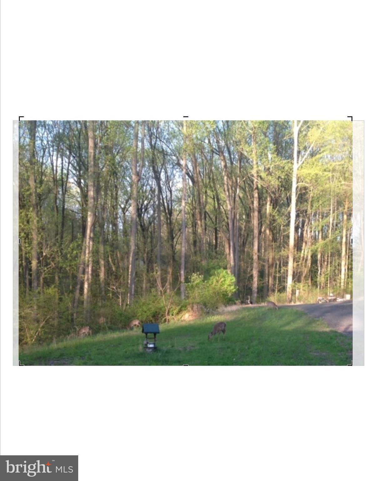 1920 Cosner Road Forest Hill, MD 21050 - Photo 21 of 22 Spring