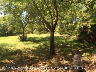 635 Wayne Massie Road Como, MS 38619 - Photo 17 of 31 4407A34B-E00E-4A92-BF4E-9D2136225AFD