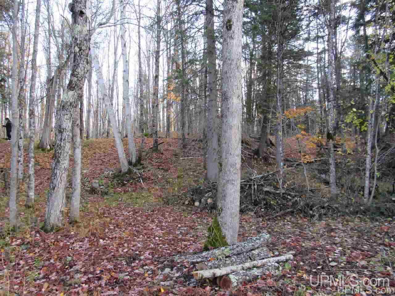 Lot 1 Sicotte Road Skanee, MI 49962 - Photo 22 of 23