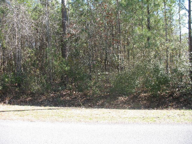 331 Ravenswood Road Hampstead, NC 28443 - Photo 1 of 5 Primary Photo