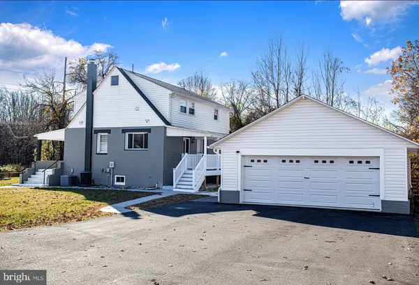 a view of a yard with plants and large trees