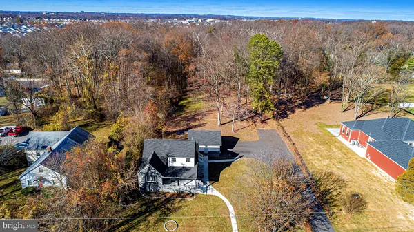 a view of large trees with yard