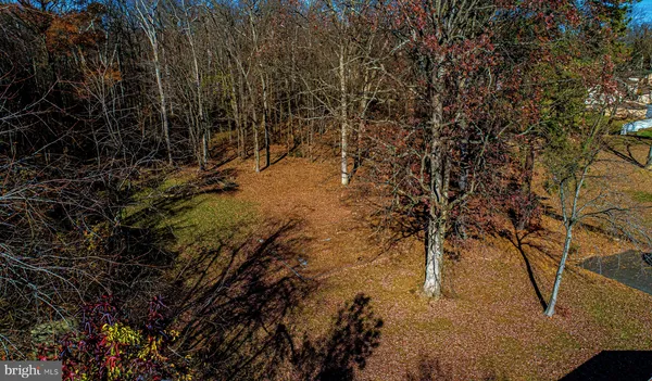 a view of outdoor space and a yard