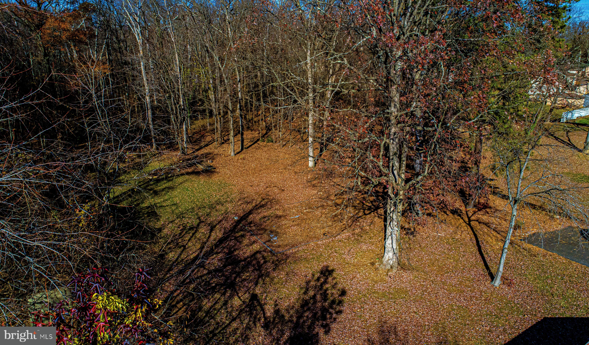 518 Wampler Road Middle River, MD 21220 - Photo 4 of 49 a view of outdoor space and a yard