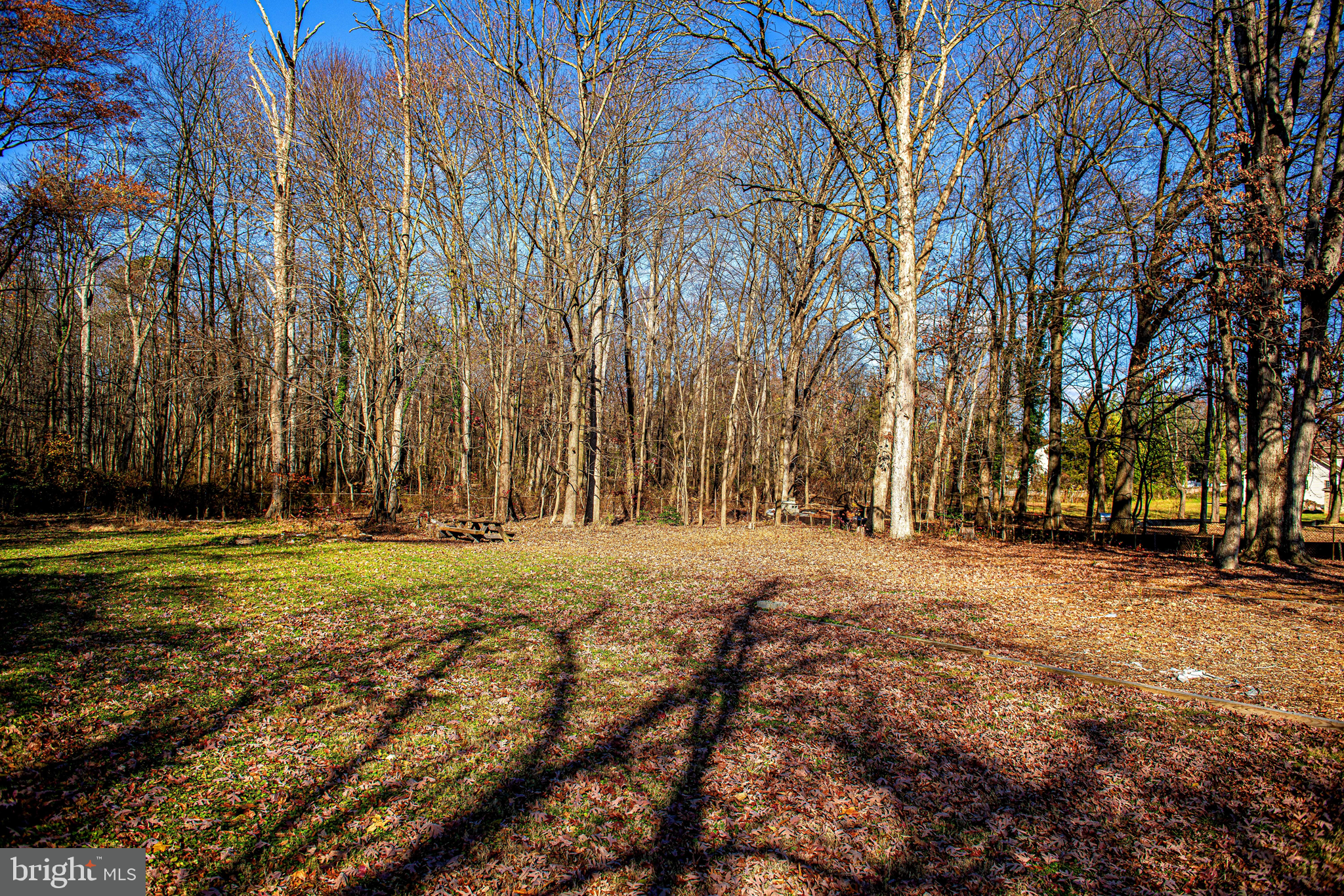 518 Wampler Road Middle River, MD 21220 - Photo 41 of 49 a view of large trees with yard