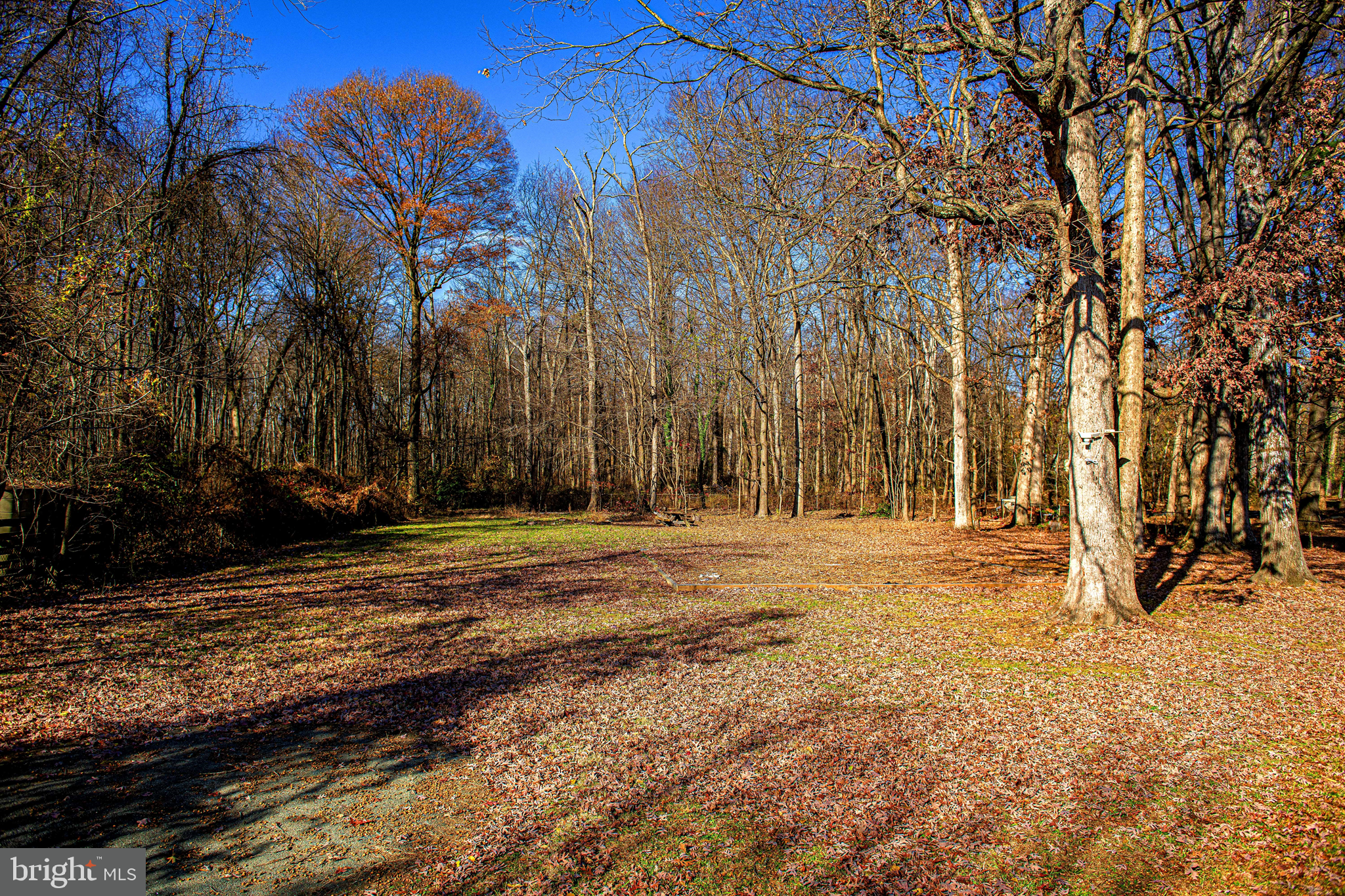 518 Wampler Road Middle River, MD 21220 - Photo 42 of 49 a view of a backyard with large trees