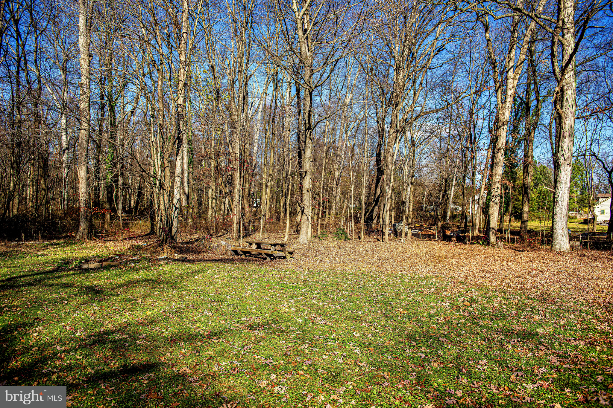 518 Wampler Road Middle River, MD 21220 - Photo 43 of 49 a view of a yard with plants and trees