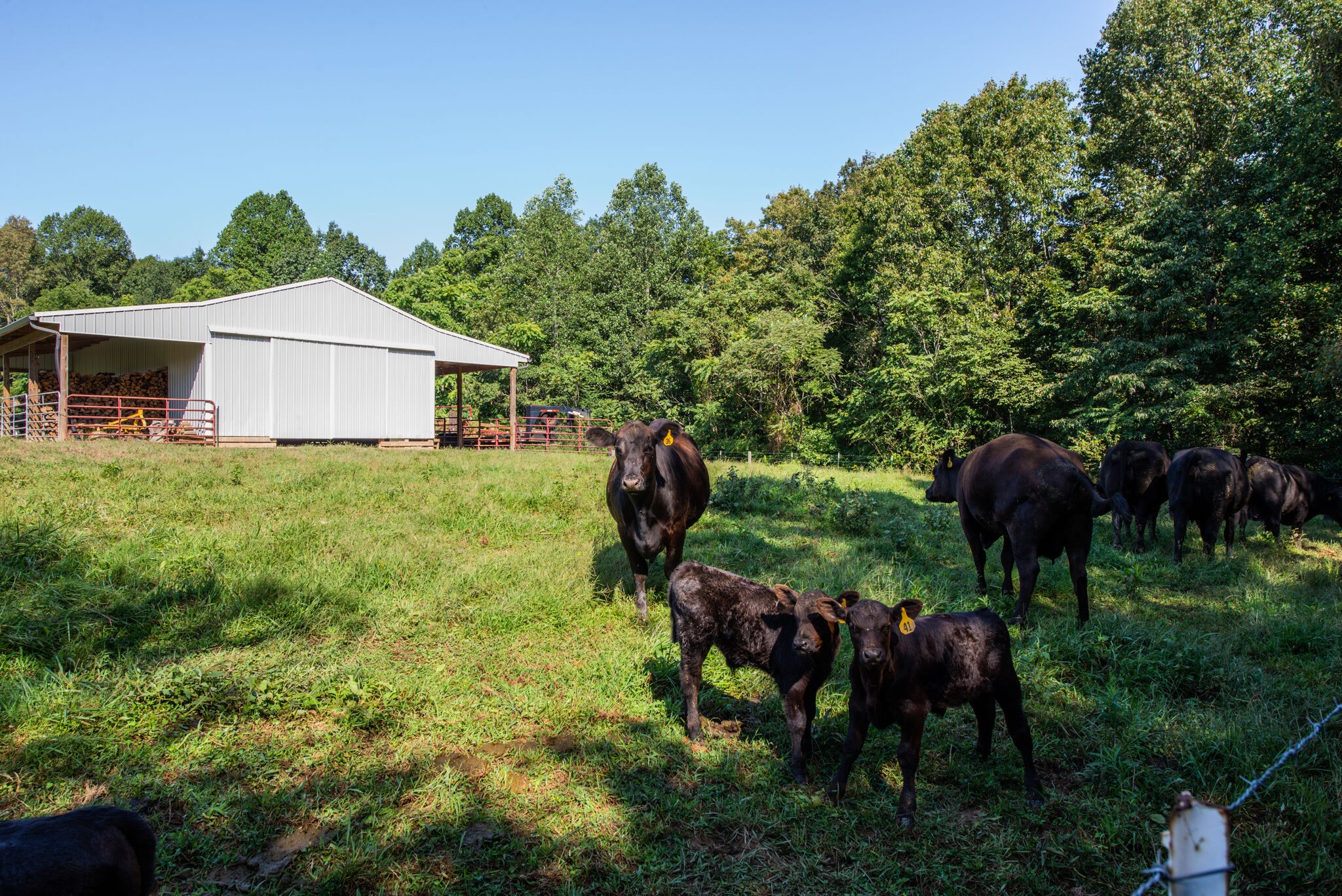 5062 Cathey Ridge Road Manchester, TN 37355 - Photo 29 of 47 a backyard of a house with barbeque oven and outdoor seating