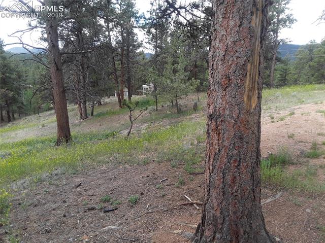 421 Buckridge Road Florissant, CO 80816 - Photo 10 of 21 Gallery Image 10